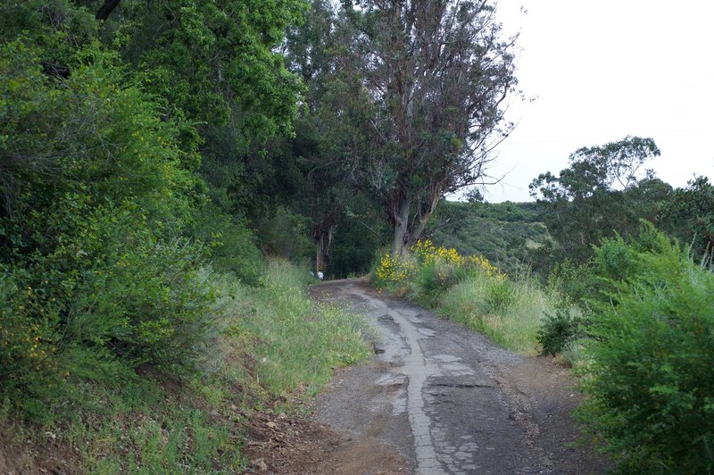 The trail climbs steeply from the parking area in Lexington County Park.