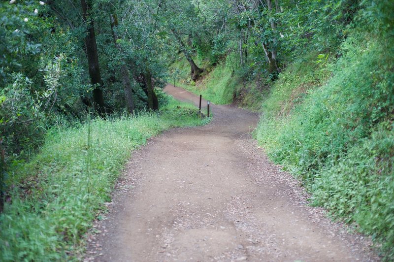 The trail as it makes its way back downhill.