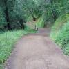 The trail as it makes its way back downhill.