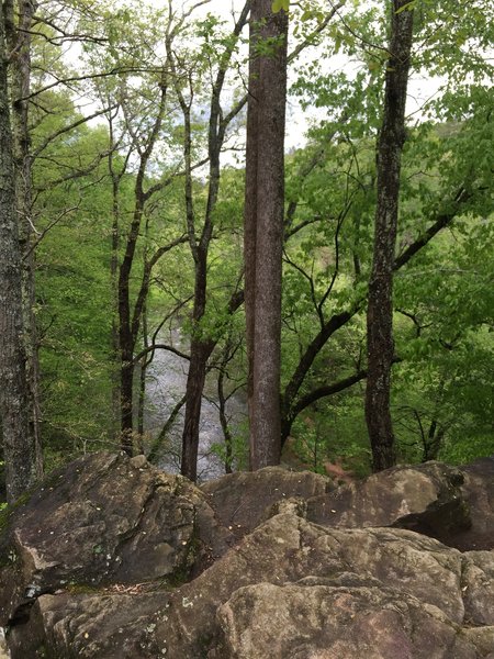 The top of the cliffs at AL 4 overlooking the creek below.