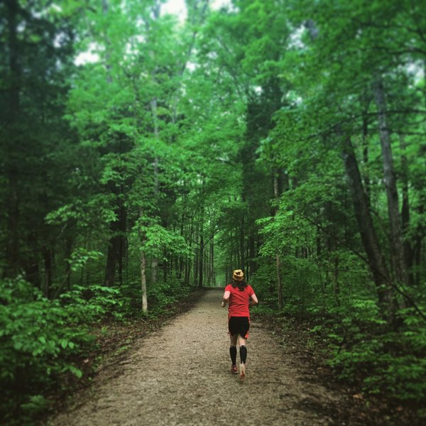 Great corridor of trees on a smooth section of the Hike & Bike Trail.