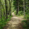 Walk along the river bluff. Sharp drop off the trail to the left. Watch the kids and pets.