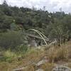 San Joaquin River Gorge bridge