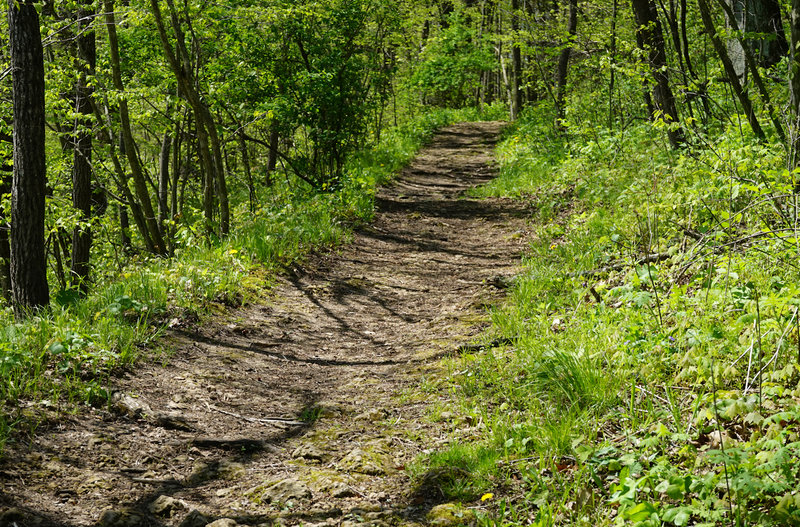 Start of the trail.