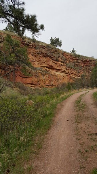 Sandstone cliffs in the canyon.