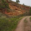 Sandstone cliffs in the canyon.