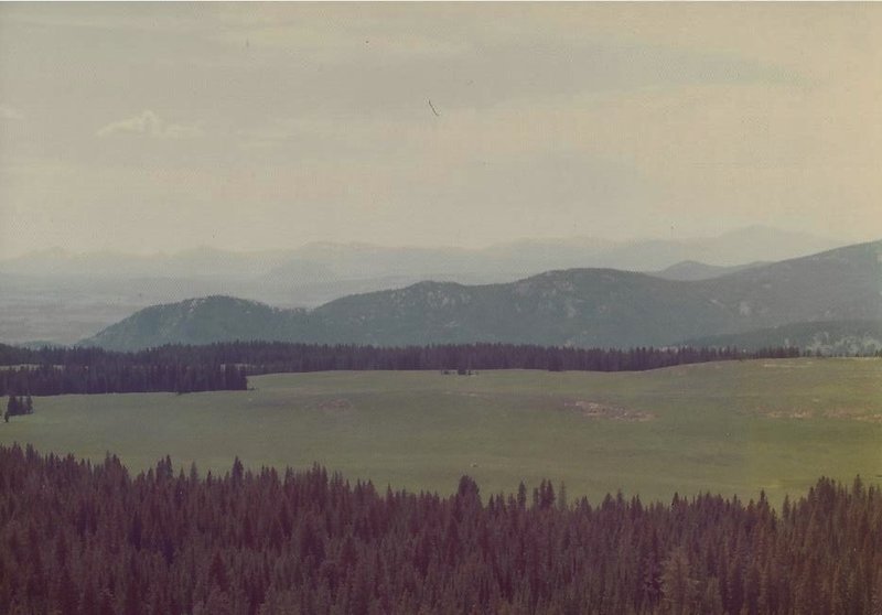 Looking southwest from Buffalo Plateau in this pre-1988 fire photo.