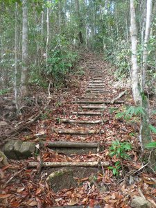 So beautiful! Natural Stairs! :)