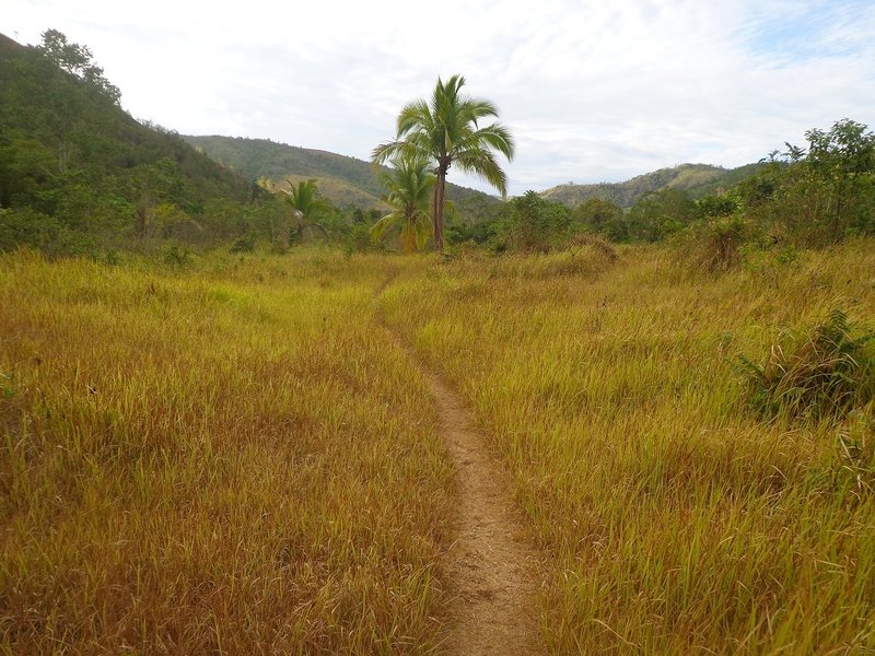 Singletrack.