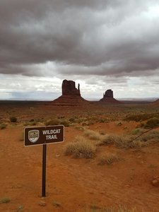 Wildcat trailhead.