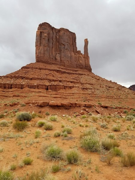 Near the base of the East Mitten.