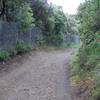 The trail winds deeper into the preserve.