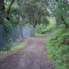 Novitiate Trail as it moves through the woods. Rabbits and quail can be seen scurrying along the trail in this section.