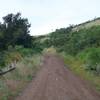 The Manzanita Trail where it meets the Lower Brothers Bypass Trail.