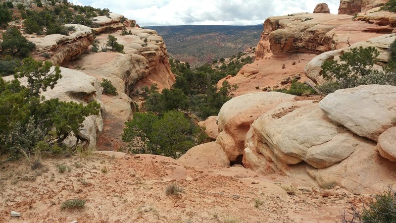 Along the Rim Overlook Trail.