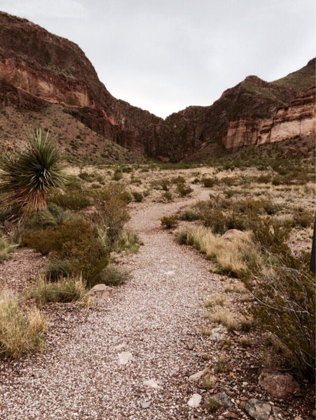 The trailhead of Burro Mesa pour off.