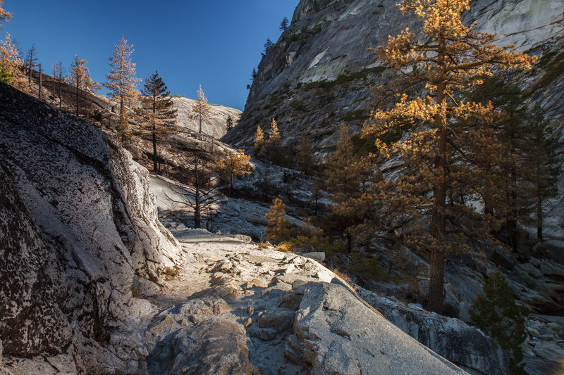 Stunning light and some slightly burned trees on Merced Lake Trail.