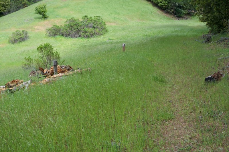 The trail cuts to the right and makes its way through the fields on little more than a lightly maintained trail.