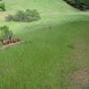 The trail cuts to the right and makes its way through the fields on little more than a lightly maintained trail.