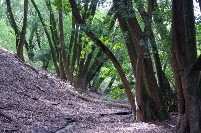 The shade is a pleasant relief from the sun.