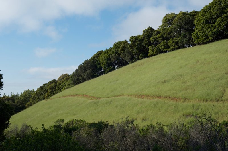 The trail hugs the hillside along a narrow, dirt trail.