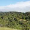 In the evening, fog and clouds roll into the preserve over the hills.