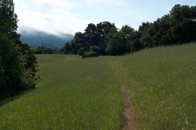 The trail makes its way through the fields along a narrow dirt track.