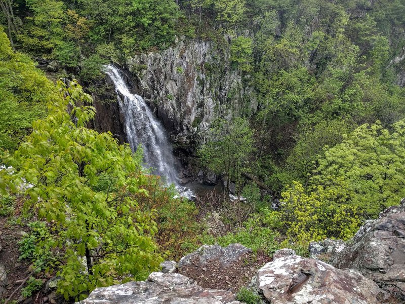 Overall Run Falls, the tallest waterfall in SNP.