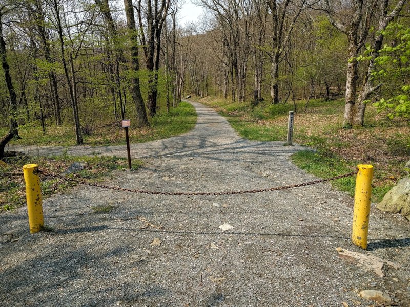 The start of the Rose River Fire Road just off the Skyline Drive.