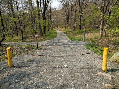 The start of the Rose River Fire Road just off the Skyline Drive.