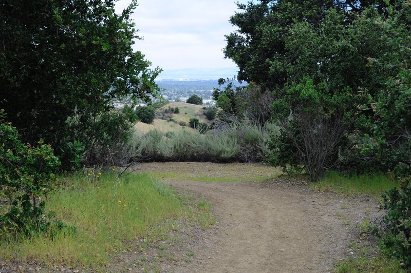 The Rainbow Knoll Trail departs the Seven Springs Loop Trail.