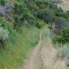 The trail is a narrow dirt track as it descends along the hillside.