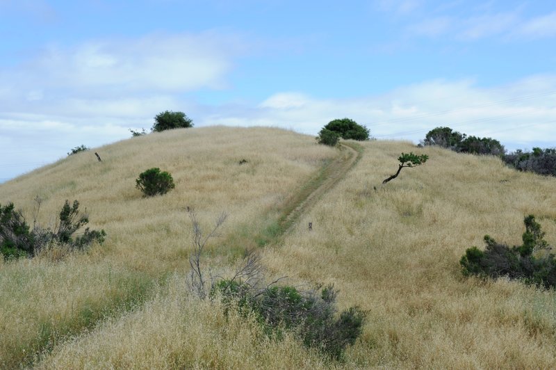 The trail climbs up a small hill as it makes its way out to the knoll.