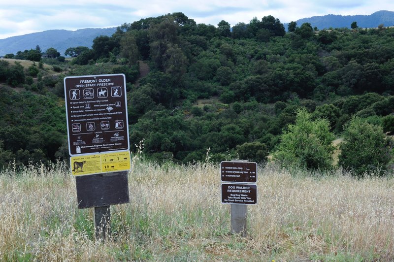 The edge of the Fremont Older Open Space Preserve.