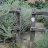 The trail that goes off to the left quickly comes to the boundary where private property begins.