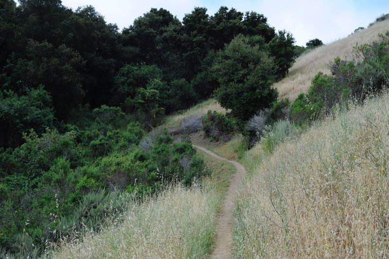 Hugging the hillside, the trail meanders along.