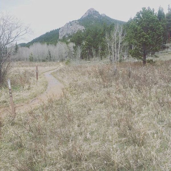 Mountain outcroppings around Fraser Meadow.