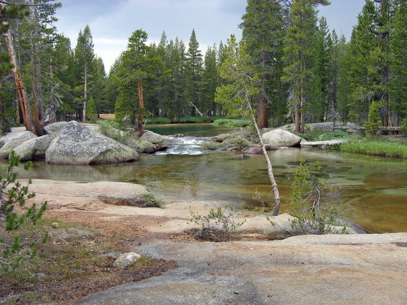 More views along the Tuolumne River.