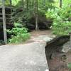 Atop the narrow natural bridge at Pickett State Park.