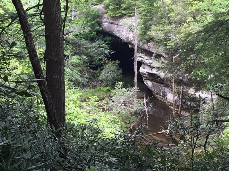 Hidden sandstone arch over Natural Bridge Creek.