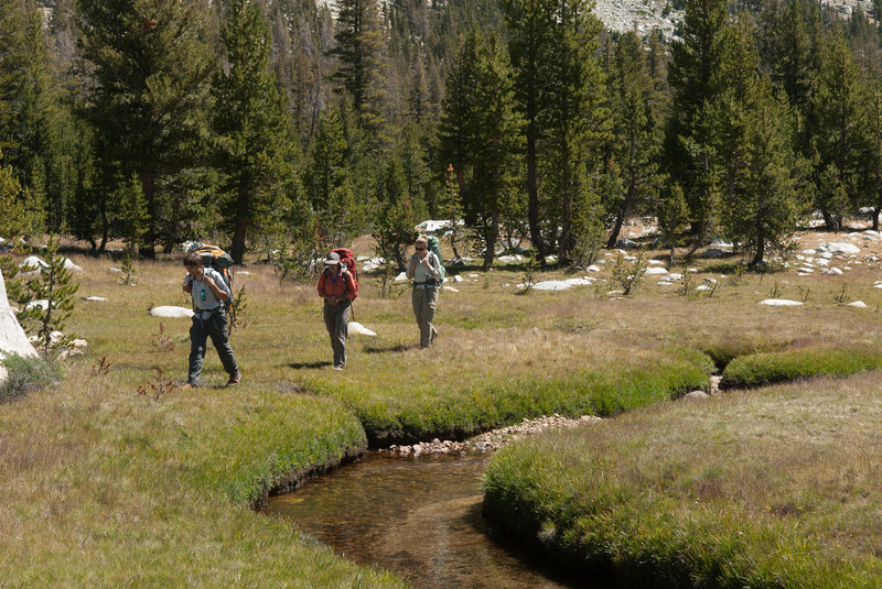 Walking in meadows along McCabe Creek.