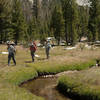 Walking in meadows along McCabe Creek.