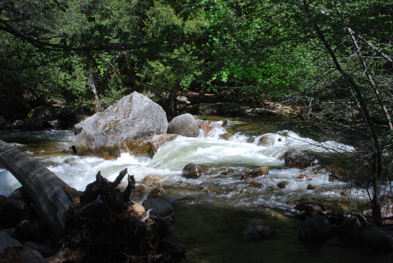 Merced River rapids.