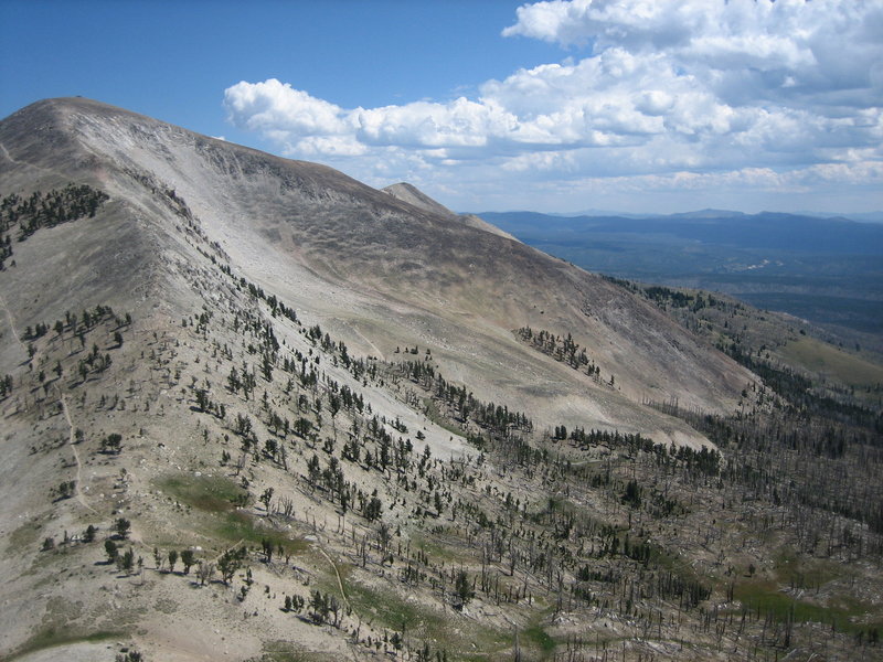 Off trail on the South White Peak looking east to Mount Homes. The Mt Holmes Trail can be clearly seen switchbacking up to the saddle that connects the White Peaks to Mt Holmes, and continuing up to the top.