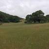 The main field of Hayfields Trail.