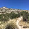 As you climb away from Miller Creek, the trail winds up a boulder field.