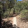 View looking west along Heartbreak Ridge Trail