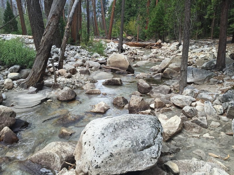 Tenaya Creek.