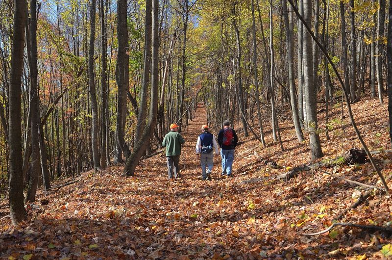 Walking the MST at Wells Knob. Photo by Joe Mickey.