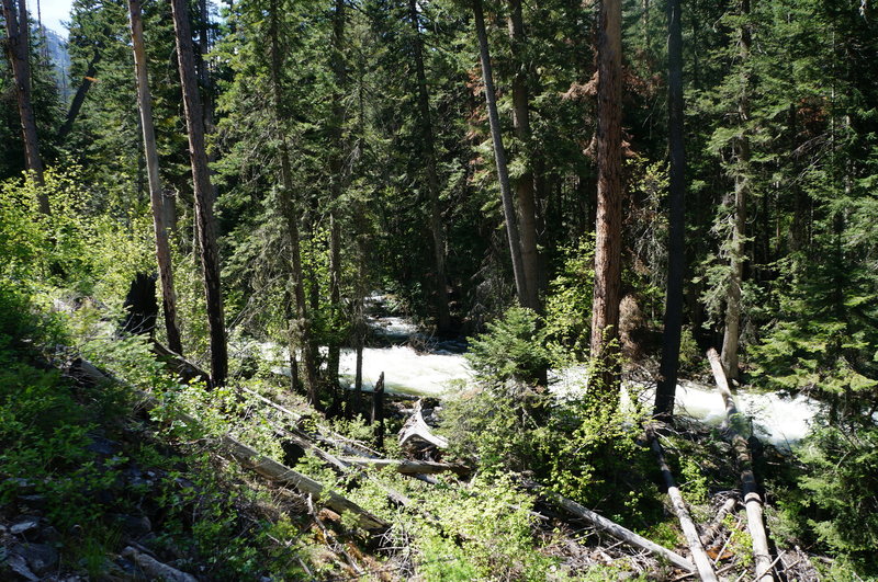 View of Bear Creek from the trail.